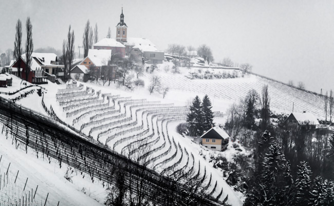 Winterliche Weinberge in Kitzeck im Sausal (Steiermark).